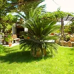 Dimitra 3*
