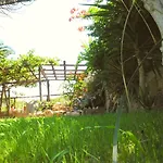 Dimitra 3*