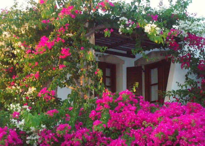 Dimitra 3* Kastraki (Naxos)